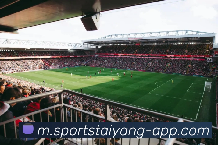 太阳城平台生态图