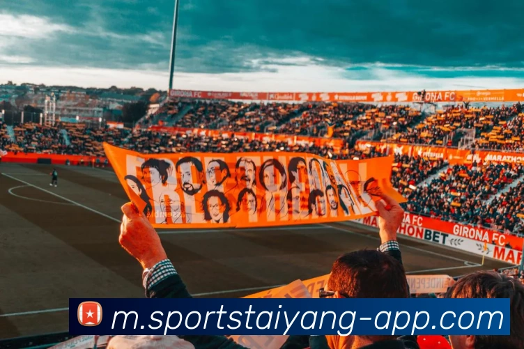 太阳城APP 封面图